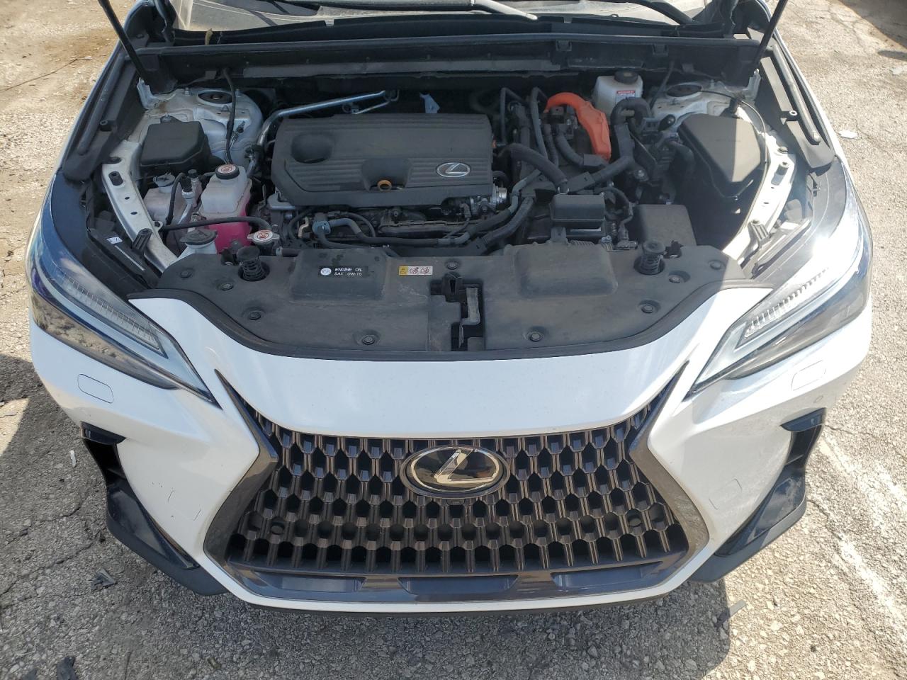 Lexus NX 350h Image 2