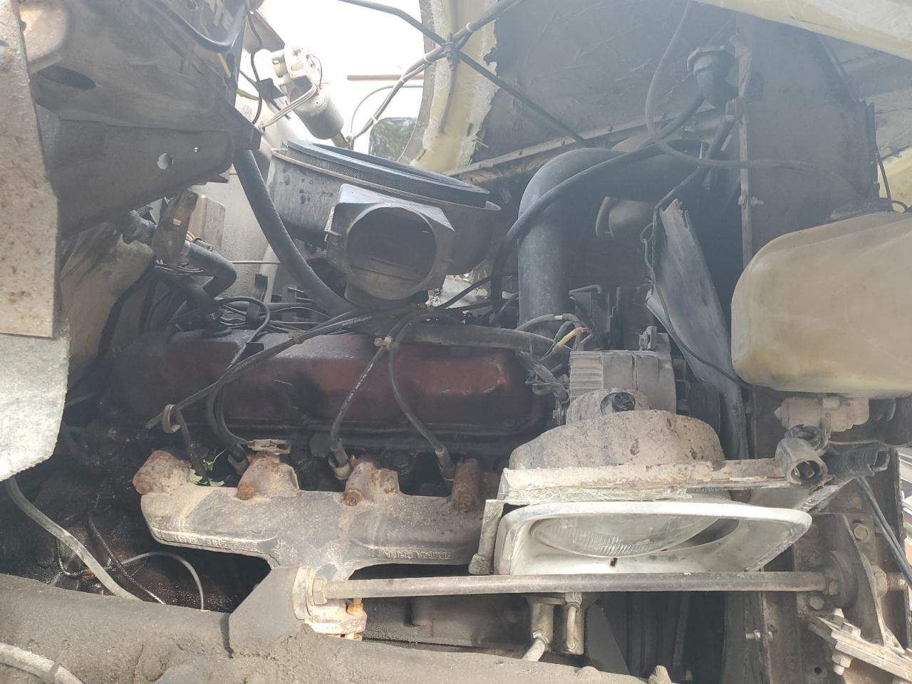 International Other Image 9