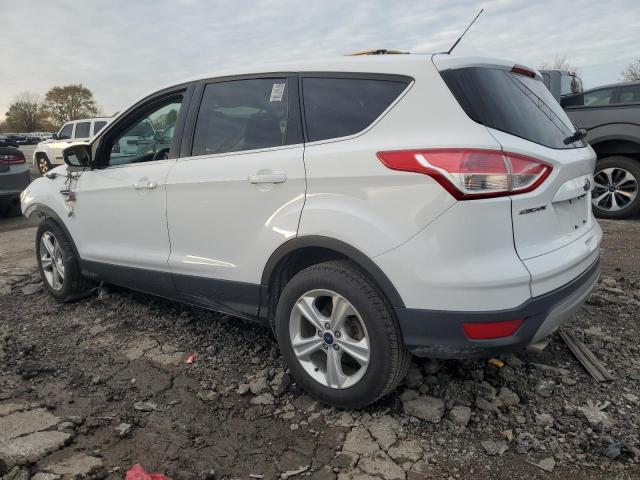 Ford Escape Se Image 13