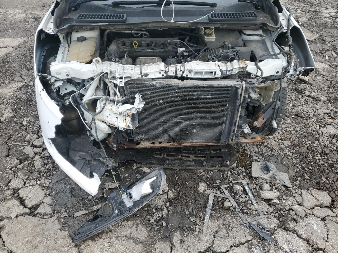 Ford Escape Se Image 6