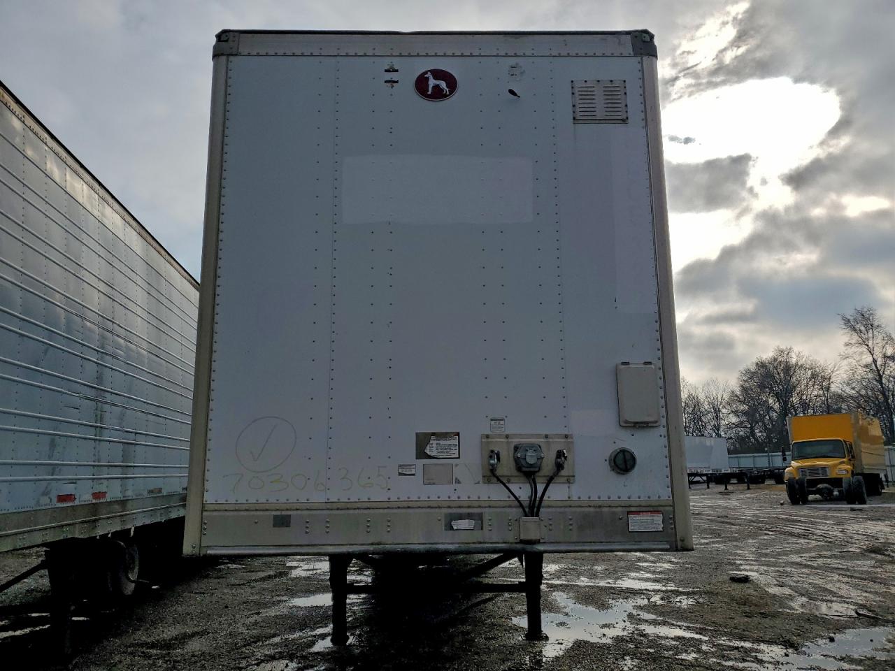 Great Dane Other Image 2