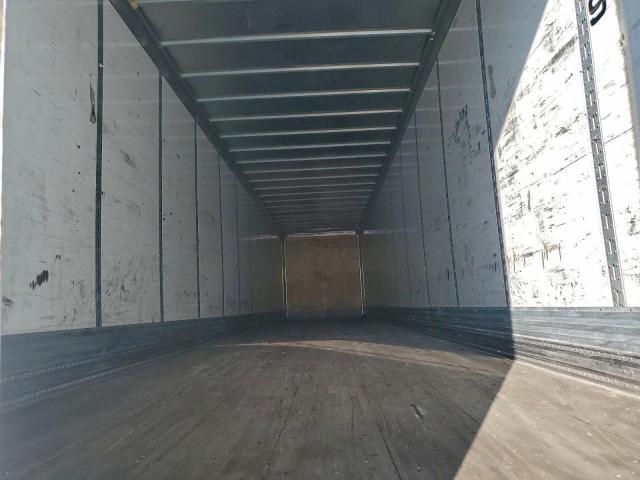 Great Dane Other Image 7