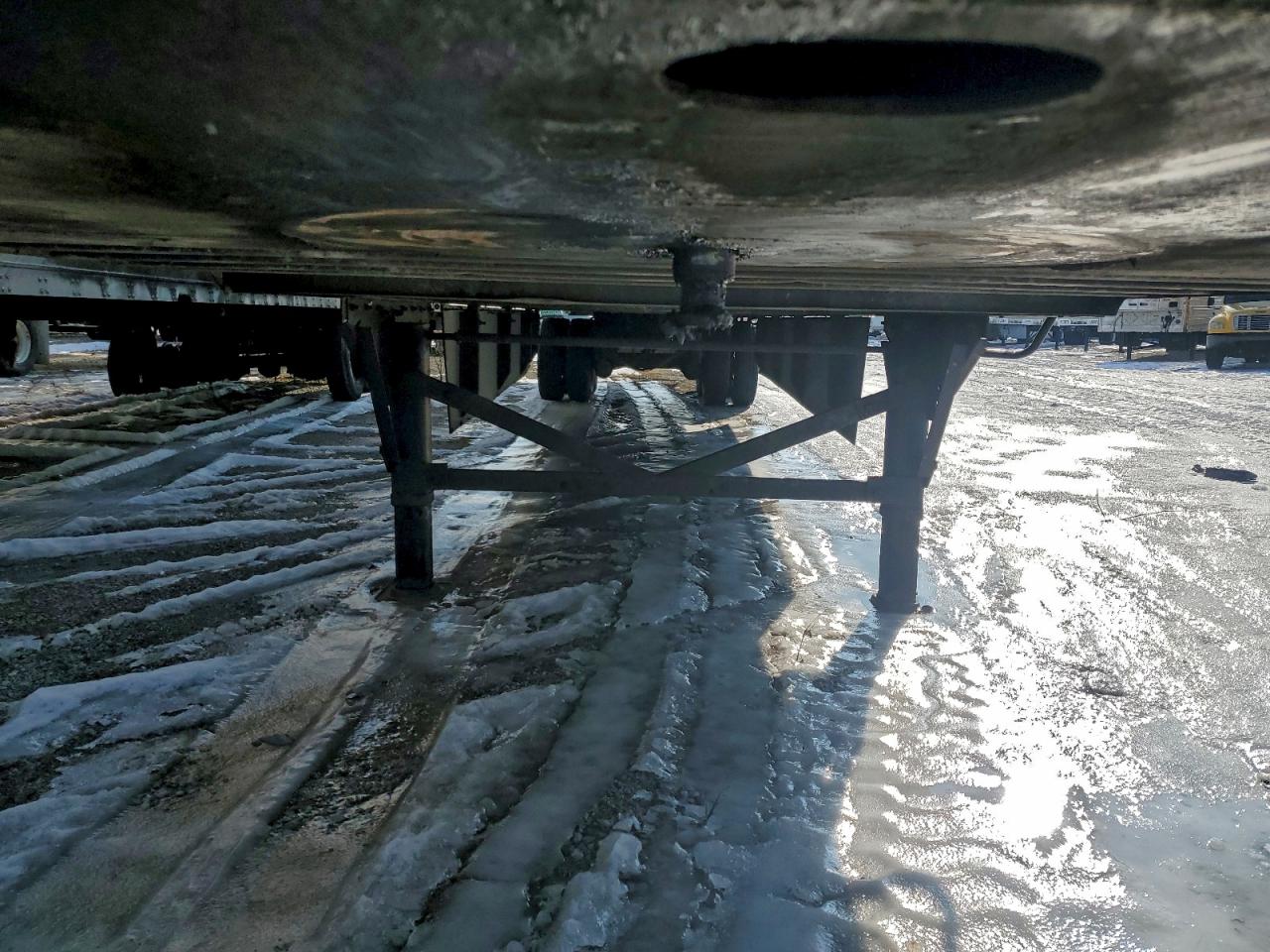 Great Dane Other Image 3