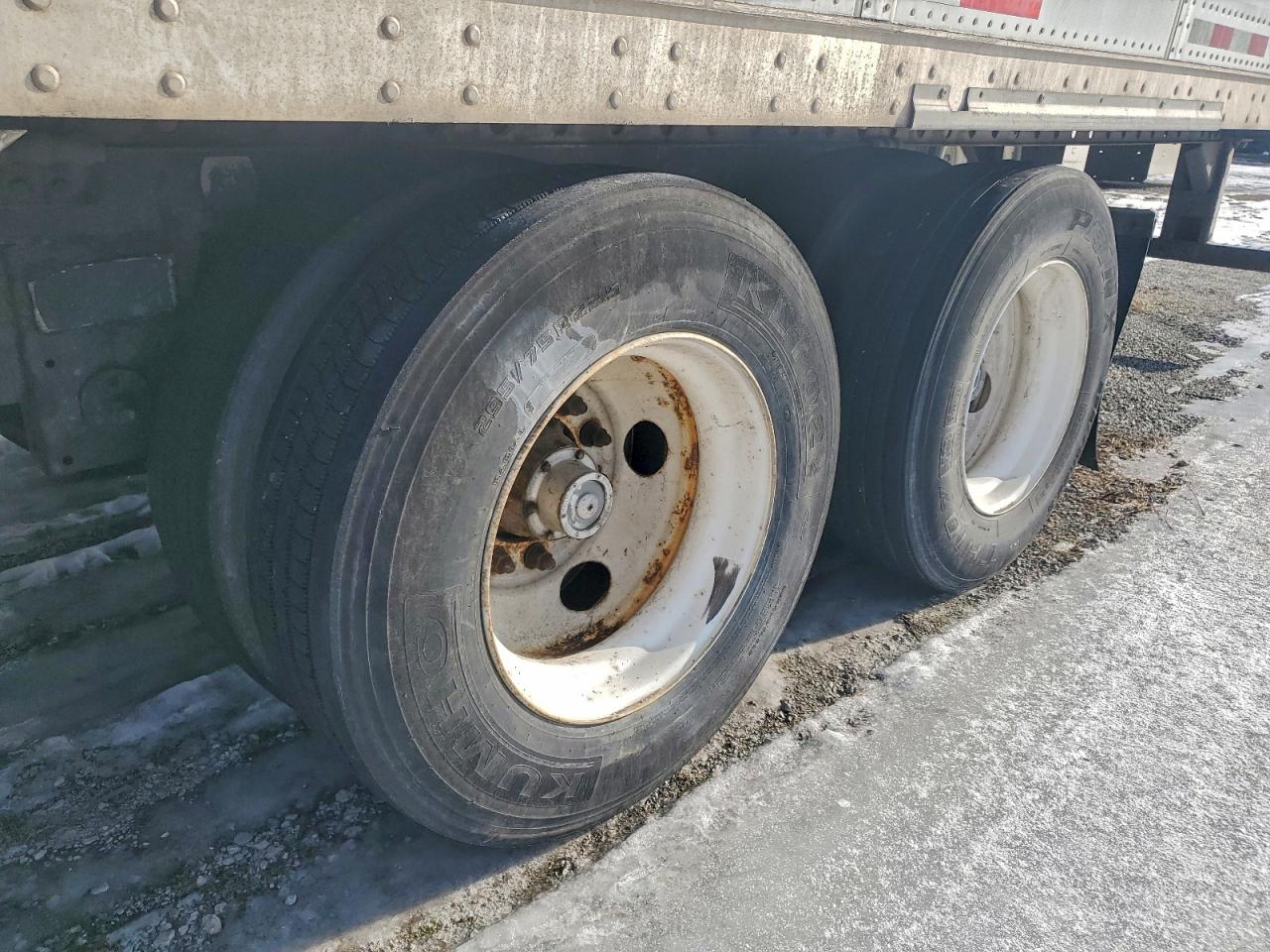 Great Dane Other Image 10