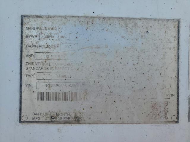 Great Dane Other Image 6