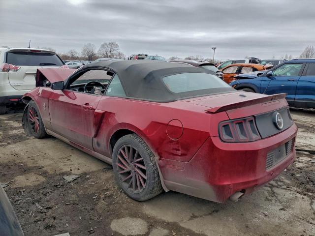 Ford Mustang Image 11