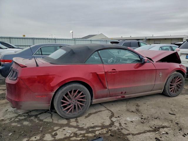 Ford Mustang Image 3