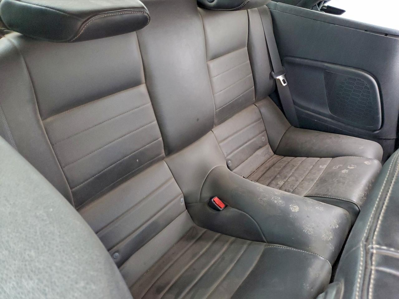 Ford Mustang Image 7