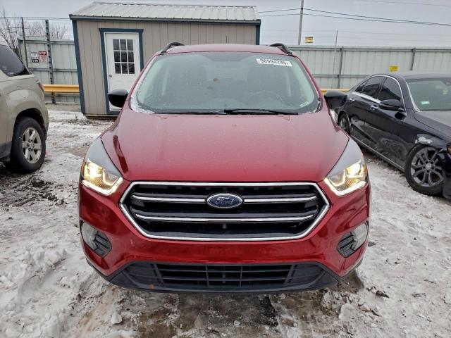 Ford Escape Se Image 7